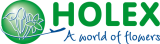 logo holex