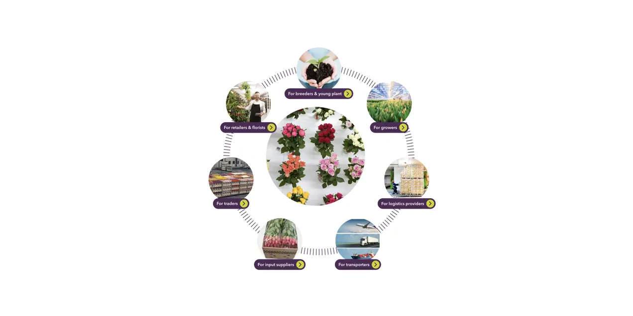 Circular diagram showing our target groups